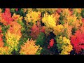 Montgolfière Aventure vol d'automne