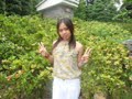 Dik yayank