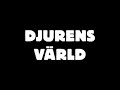 hur v�rnar vi om v�ra djur egentligen?