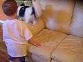 Re: Vicious Bull Mastiff with baby Re: Vicious Bull Mastiff with baby