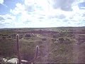 caatinga caatinga