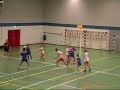 Futura 3 - Weidevogels 2