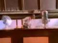 HOLTZ ROLL -- The Director's Cut