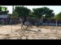 videos de bruno_silva_velocidade 2008
