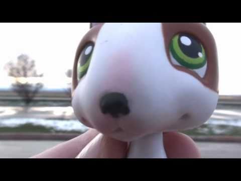 pet