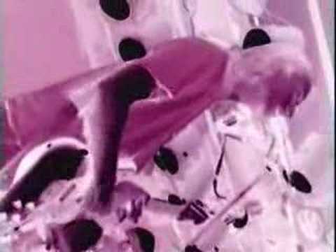 Youtube Video XS8XCFgnuKc