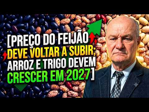 Preço do feijão deve voltar a subir; arroz e trigo devem crescer em 2027.