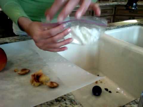 how to transplant apricot tree