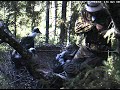 Obr?czkowanie bocian�w czarnych w Estonii - cz??? 2