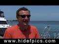 shark dive in roatan honduras clip from dvd