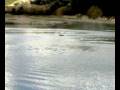 videos de Twenty nine a Santa Rosalia