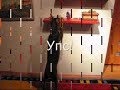 crazydog