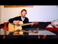 Ibanez ew 20 ase