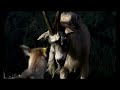 aagots fjeldsang - bilder fra f�rde & j�lster. musikk: dag arnesen norwegian song bass:terje gewelt trommer & percussion p�l thowsen. wb - video 2008.