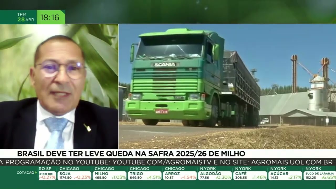 Brasil deve ter leve queda na safra 2025/26 de milho