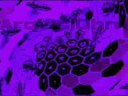 videos de Net ArqVisiOhm Visual Paradox - Irish Boy