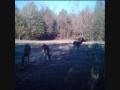 videos de Game Scout Camera Deer, Turkey and Hogs Alabama
