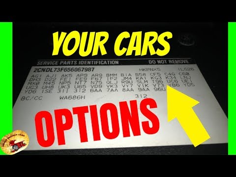 How to Tell The Exact Colors & Options for Cars With...