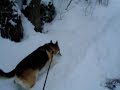 MOV00905.MPG