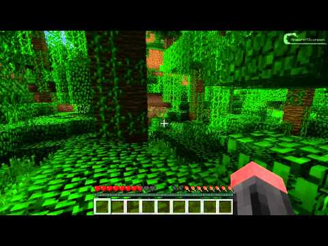 how to tame a n ocelot in minecraft