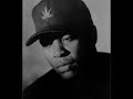 Dr Dre - Puffin' On Blunts, Drinkin' On Tanqueray UNRELEASED