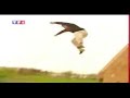 le Parkour le Parkour