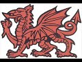 can yma o hyd gan dafudd iwan