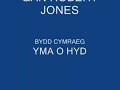 can yma o hyd gan dafudd iwan