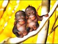 moslim-kachla-jebha-ahmed.html