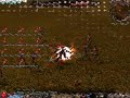 Lvl 21 assasin in Metin2