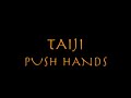 grandmaster huang sheng shyan push hands