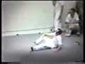 grandmaster huang sheng shyan push hands