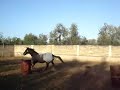 la mia culona