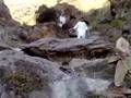 ILYAS KHAN QALDARA DARGAI MALKAND PAKISTAN
