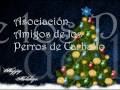 AMIGOS DE LOS PERROS DE CARBALLO OS DESEA FELIZ NAVIDAD