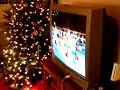 Tyke goes crazy with Wii Sports Boxing Tyke goes crazy with Wii Sports Boxing