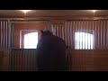 Contact Saddles / Helm Saddles