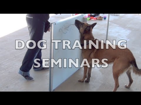 Upcoming dog training seminars- dog training