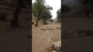 قريه الجوره وعين الخندق القدس قريه الجوره وعين الخندق القدس