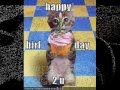 Omega funny cats