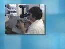 Antimicrobial Disinfection http://www.teflex.org
