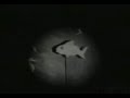 Hope Sandoval and the Warm Inventions - Suzanne