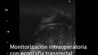 Fernando Gómez Sancha-12
