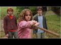 Good Riddance/Time of your life (with hp characters) Good Riddance/Time of your life (with hp characters)