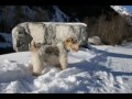 Montage des vacances de Noel