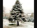 videos de Rocking round the xmas tree video_0001.wmv