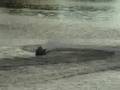 videos de Our Toys