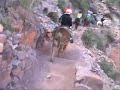 Photo of the Grand Canyon mule ride in March.  This video gives an idea of what the trip is like following the Bright Angel Trail from the start of the trip to the 1st stop on the trail.