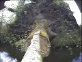Blauwe Reiger op tak met IJsvogel-webcam Blauwe Reiger op tak met IJsvogel-webcam