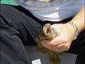 Home Movies - Our Ludington Michigan Vacation